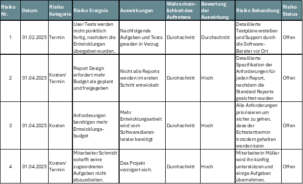 Risikomatrix für das Qualitätsmanagement im ERP-Projekt