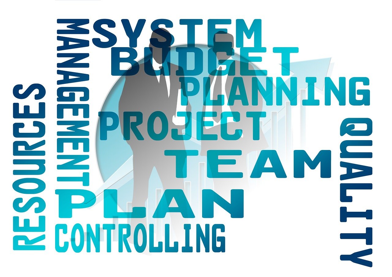 Qualitätsmanagement im ERP-Projekt